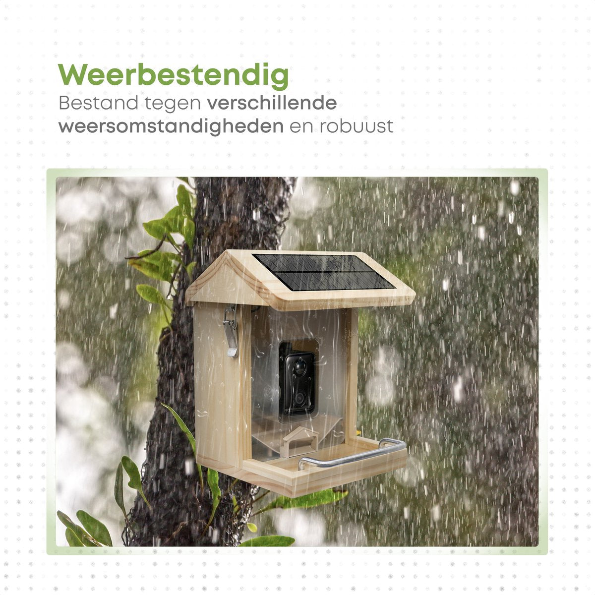 Vogelvoederhuisje met AI-camera