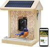 Vogelvoederhuisje met AI-camera