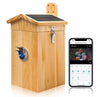 Vogelhuisje met AI-camera